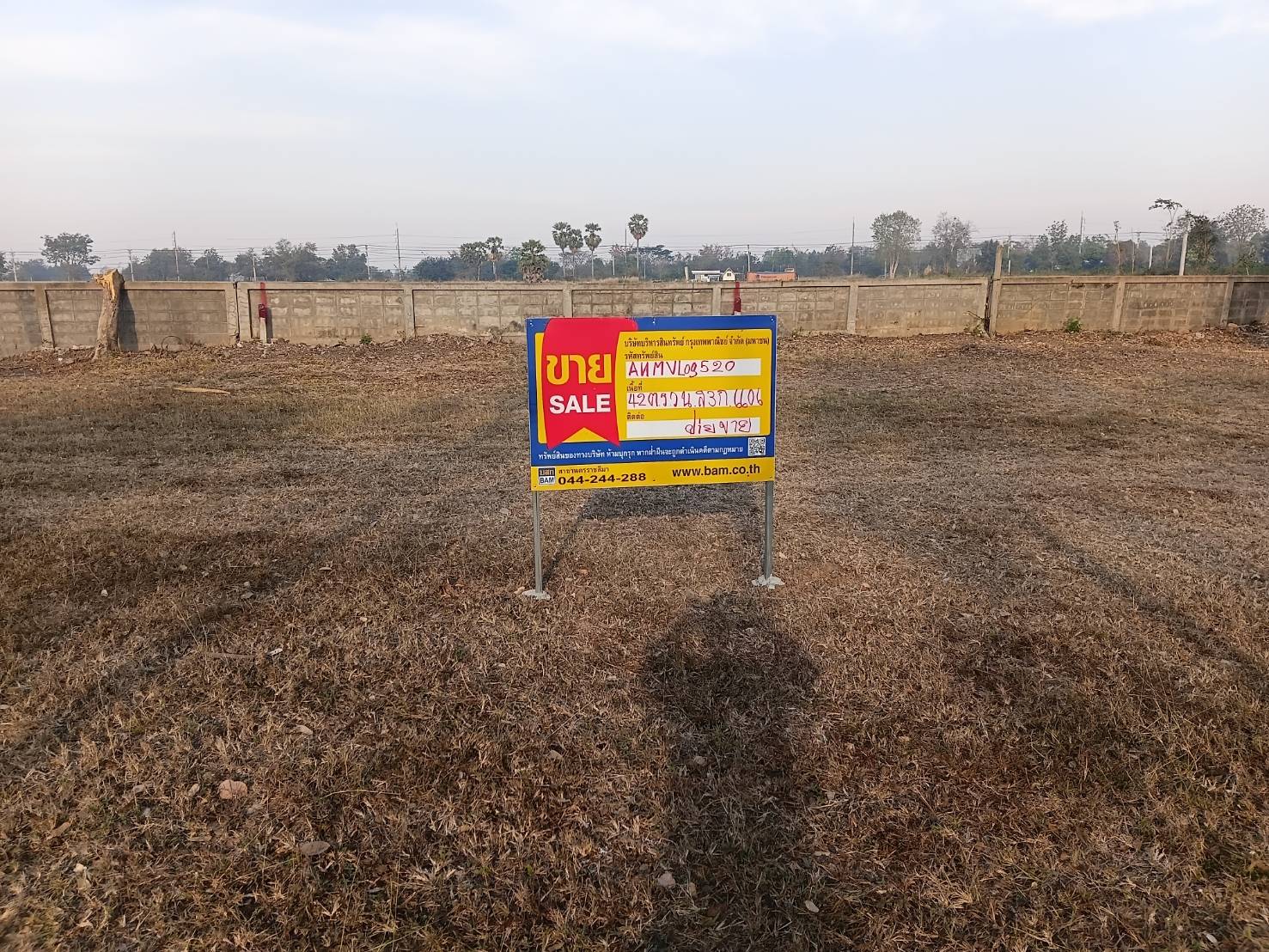 Empty land, Ing Thar Project, Nakhon Ratchasima