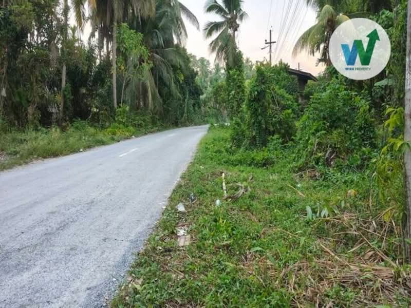 land for in Koh Tao Pa Phayom, Phatthalung
