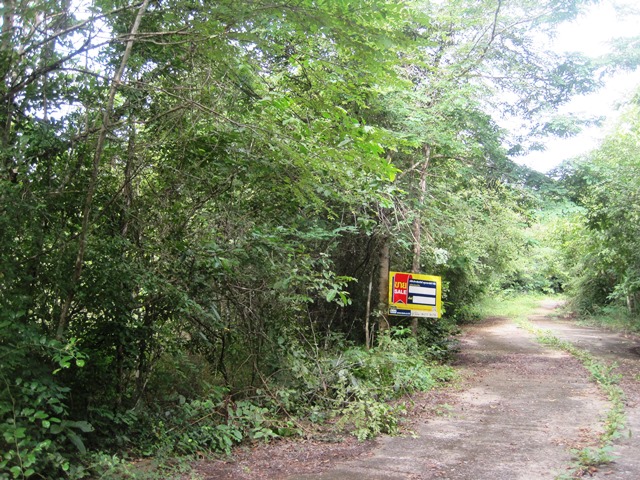 Empty land, Lanna Nakorn Country Park project, Lamphun