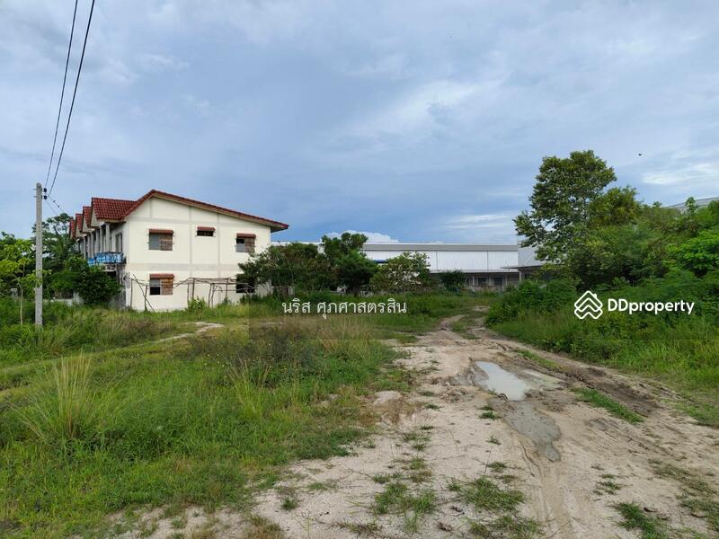 ขายที่ดิน 15 ไร่ ติดคลังสินค้า WHA พานทอง, Chon Buri (Pattaya)