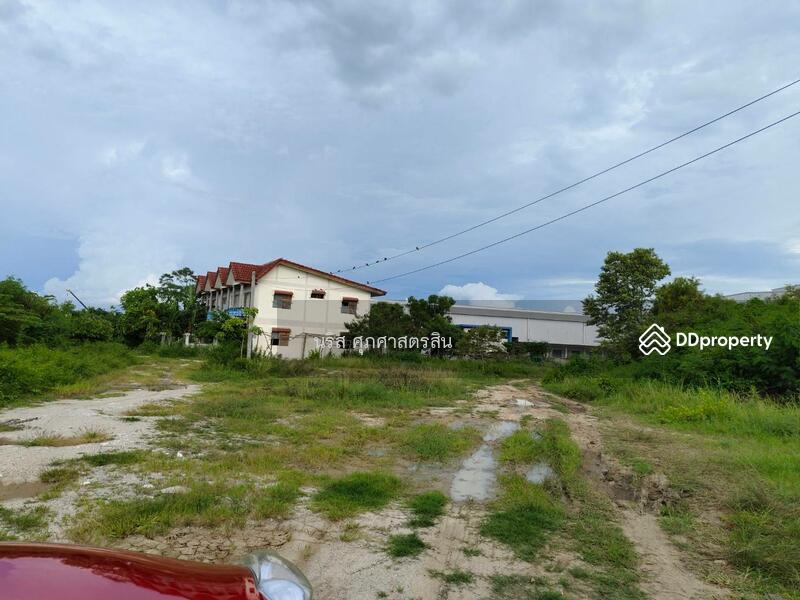ขายที่ดิน 15 ไร่ ติดคลังสินค้า WHA พานทอง, Chon Buri (Pattaya)