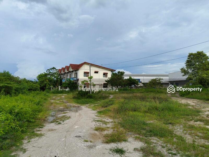 ขายที่ดิน 15 ไร่ ติดคลังสินค้า WHA พานทอง, Chon Buri (Pattaya)