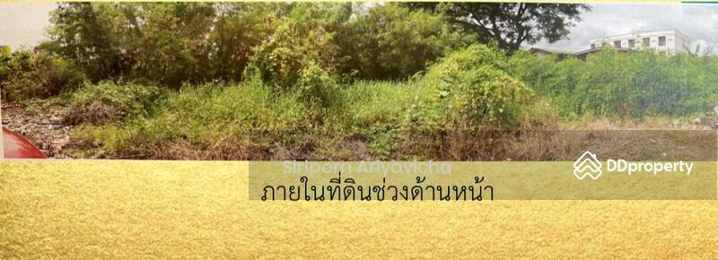ขายที่ดินมรดก 4 ไร่ 64 ตรว. ใกล้เดอะมอลล์บางแค 4 กม., Bangkok