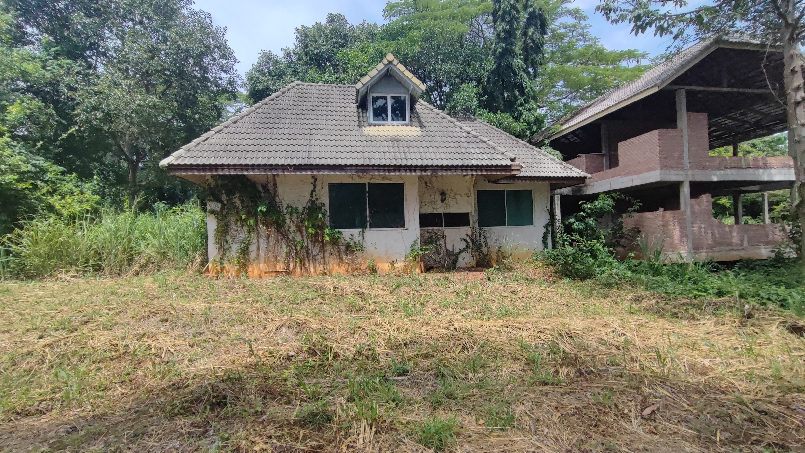 บ้านเดี่ยว 2 หลัง โครงการตะวันฉาย ปากช่อง