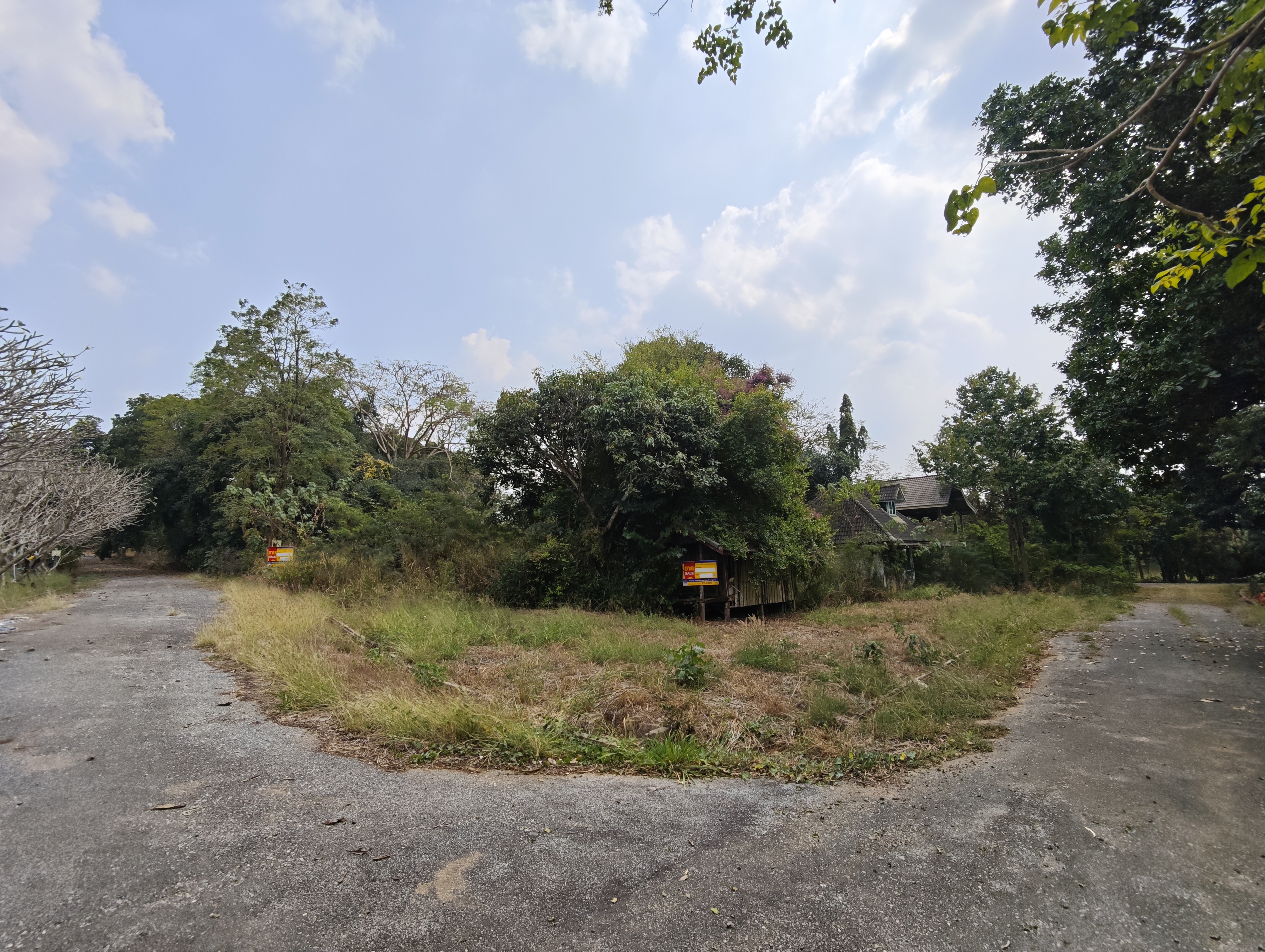 บ้านเดี่ยว 2 หลัง โครงการตะวันฉาย ปากช่อง