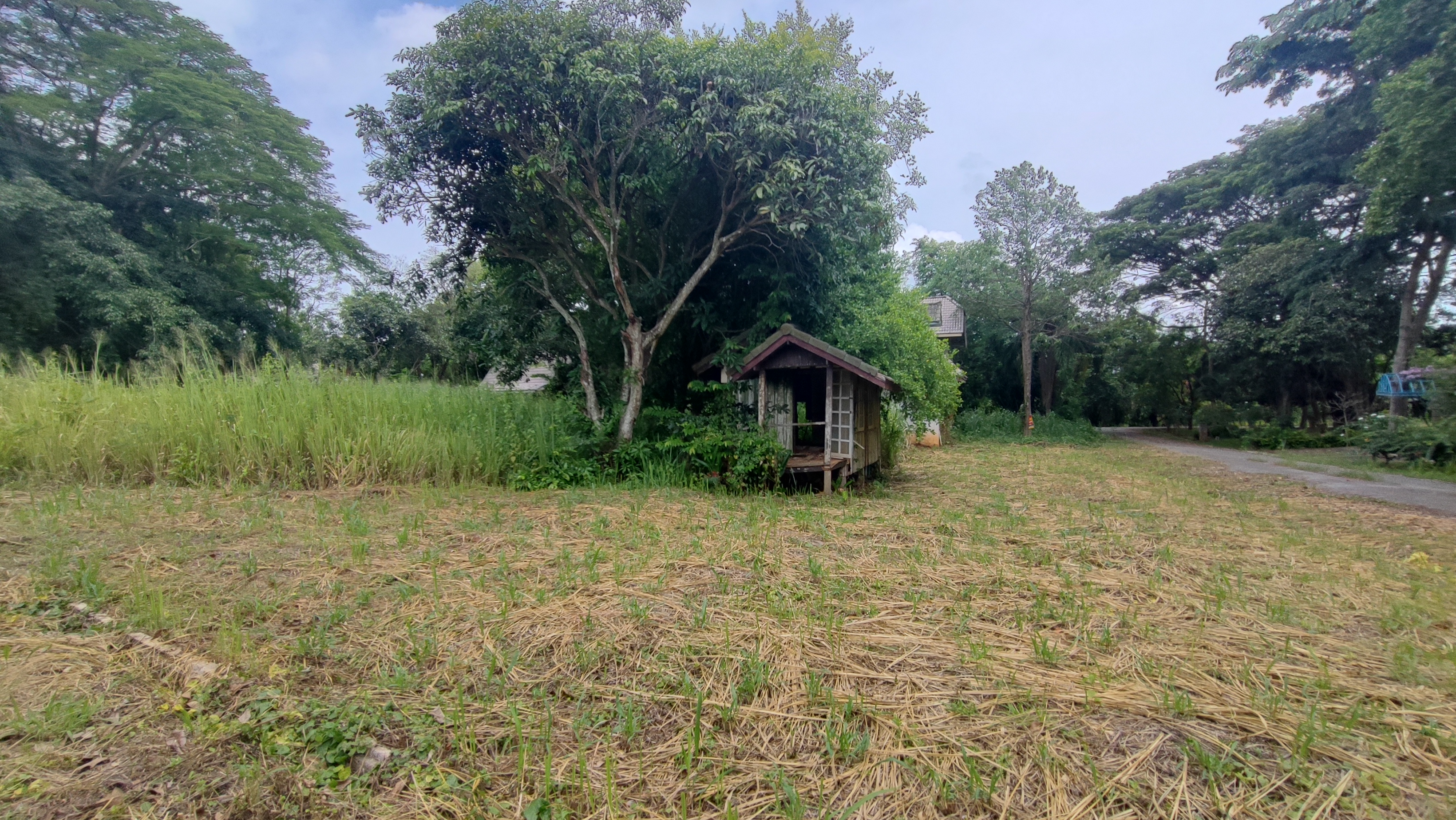 บ้านเดี่ยว 2 หลัง โครงการตะวันฉาย ปากช่อง