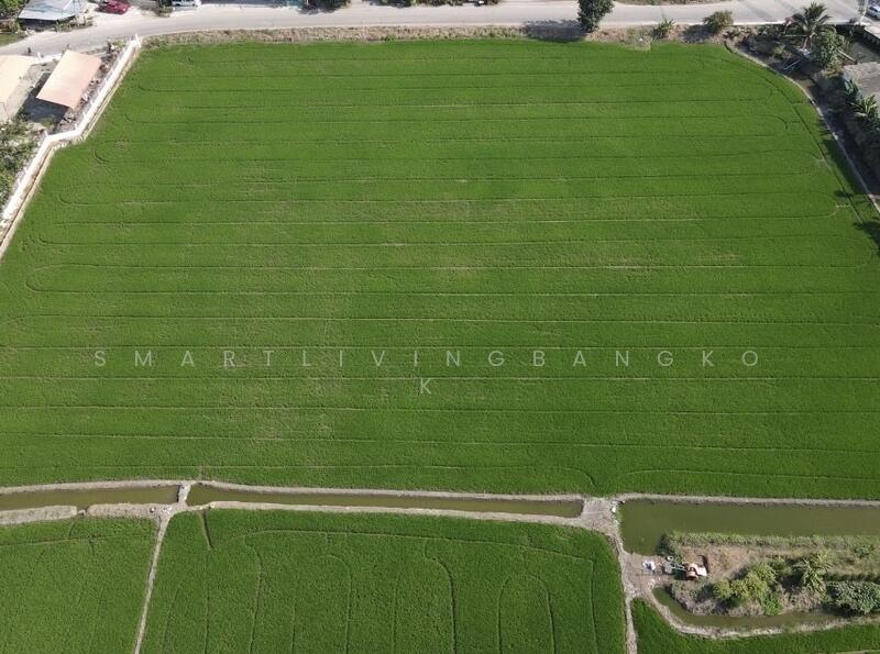 Land Bang Yai, Nonthaburi