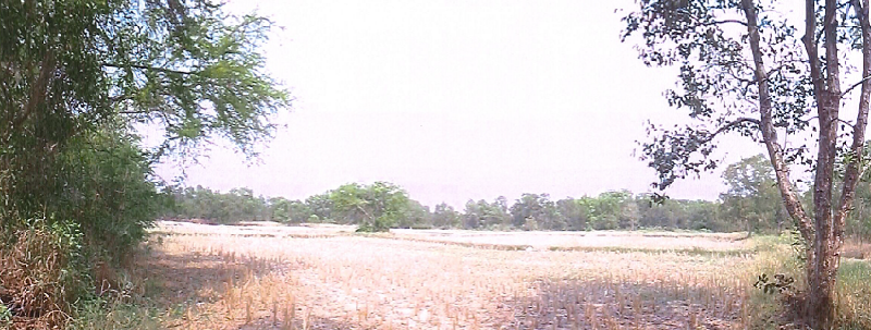 ที่ดินเปล่า อุดรธานี