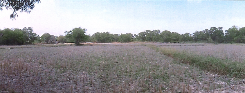 ที่ดินเปล่า อุดรธานี