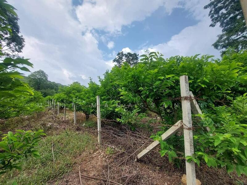 ที่ดินปากช่อง, Nakhon Ratchasima