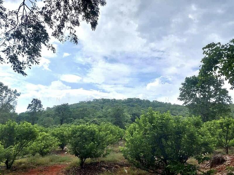 ที่ดินปากช่อง, Nakhon Ratchasima