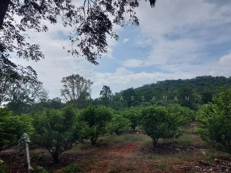 ที่ดินปากช่อง, Nakhon Ratchasima