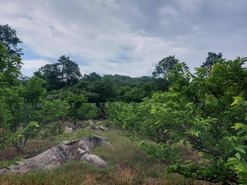 ที่ดินปากช่อง, Nakhon Ratchasima