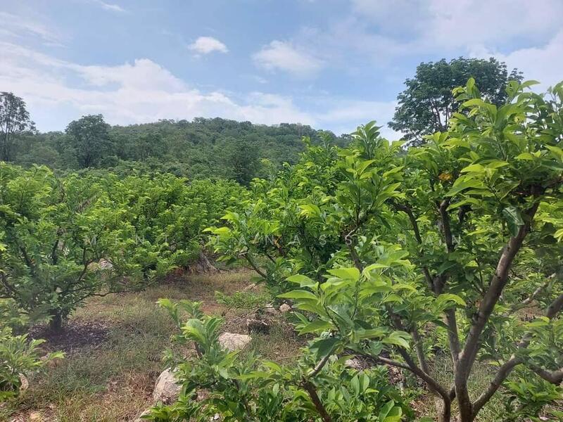 ที่ดินปากช่อง, Nakhon Ratchasima