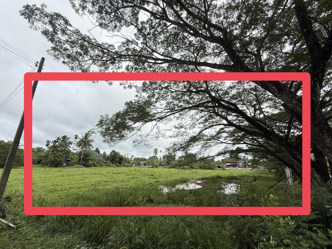 Vacant land in Phayom Forest, Phatthalung Province