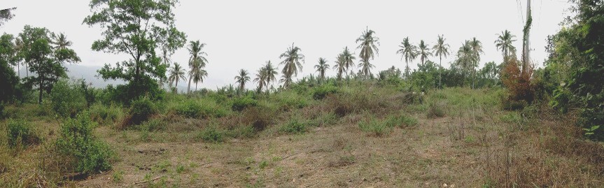 ที่ดินเปล่า โครงการชะอำ ท็อปแลนด์ รีสอร์ท แอนด์ โปโล คลับ เพชรบุรี