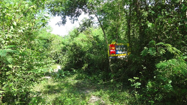 Empty land, Lanna Nakorn Country Park project, Lamphun
