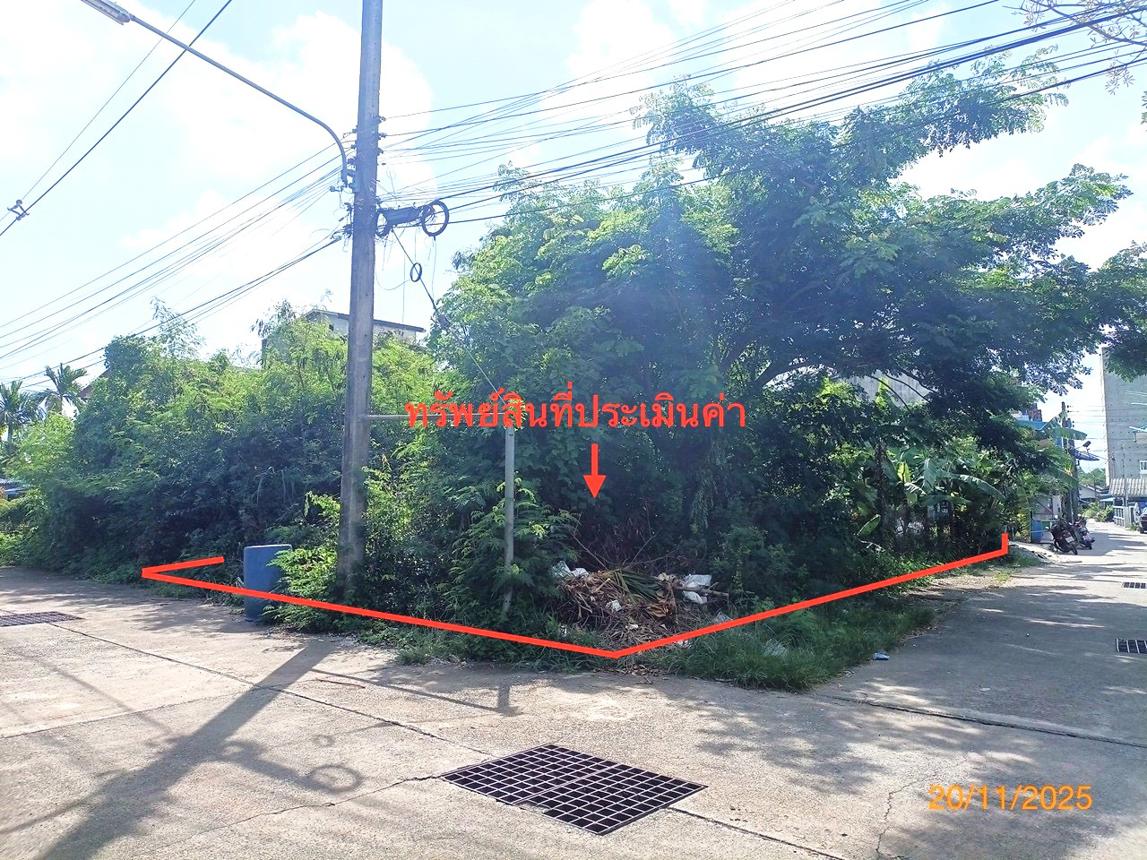 Vacant Land for Sale in Pak Phanang, Nakhon Si Thammarat