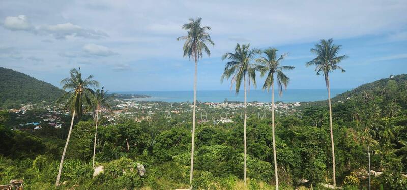 Seaview Land in Lamai for Sale 2 Rai, Surat Thani