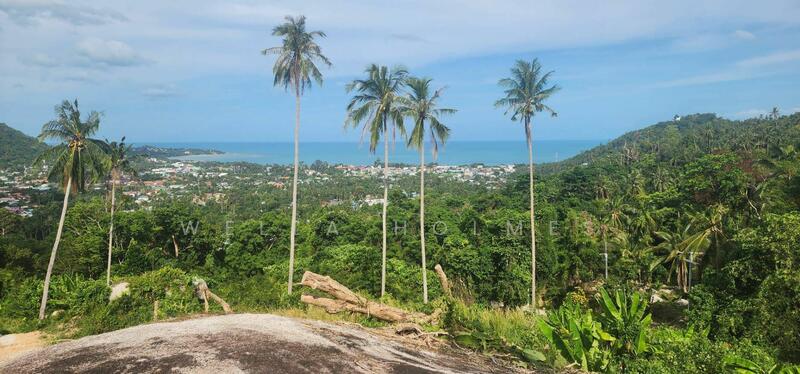 Seaview Land in Lamai for Sale 2 Rai, Surat Thani