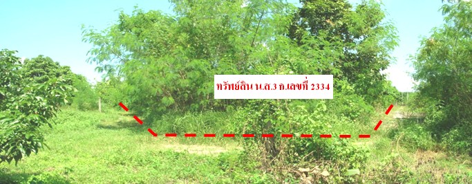ที่ดินเปล่า ลำพูน