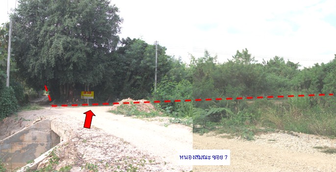 ที่ดินเปล่า ลำพูน