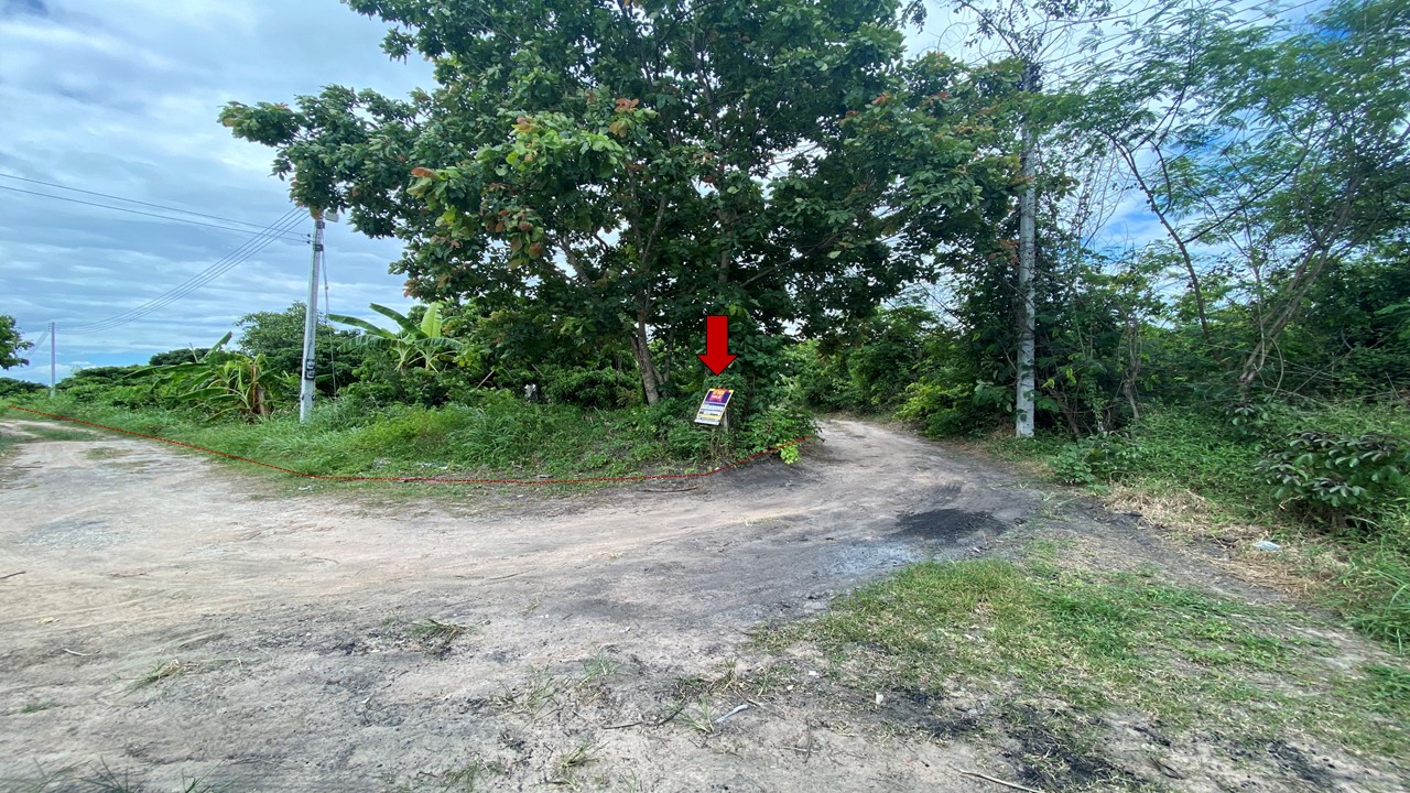 Empty Land in Lamphun