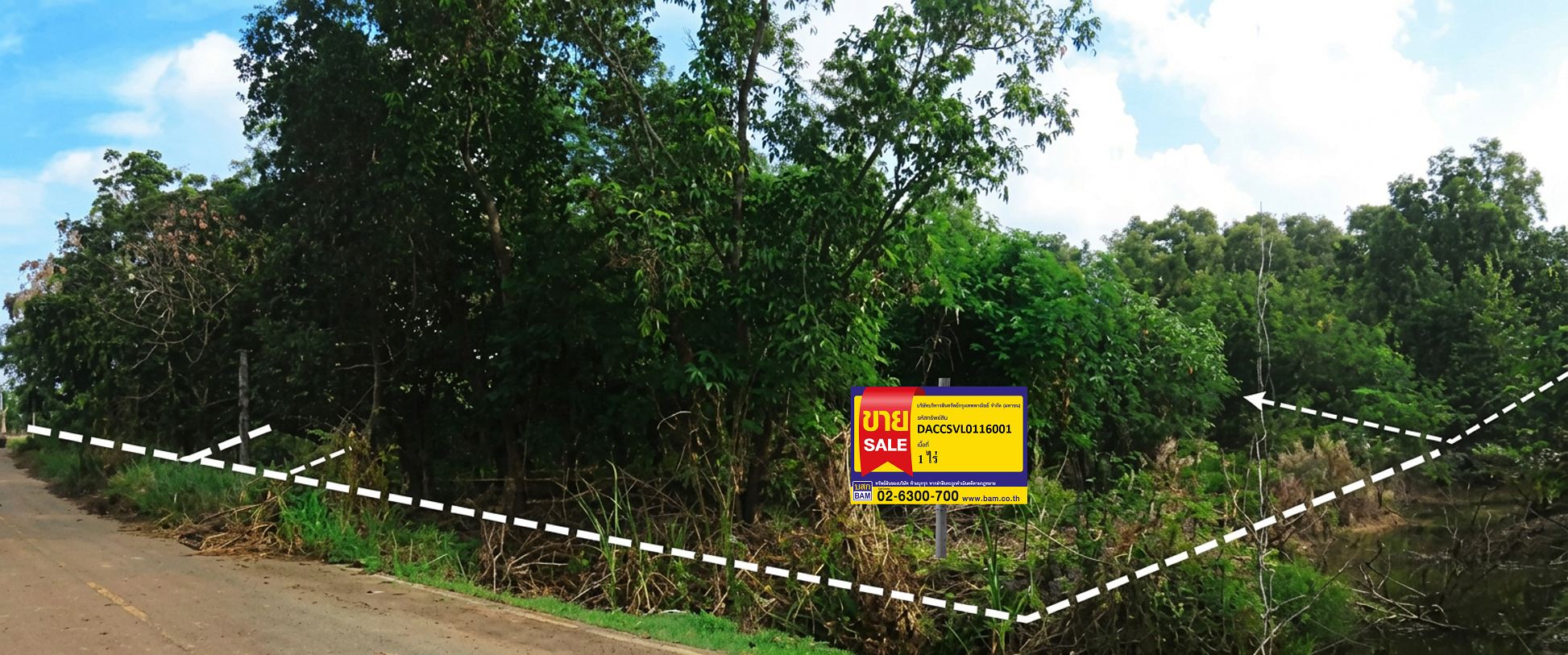 ที่ดินเปล่า ต้นไทรใหญ่ จังหวัดฉะเชิงเทรา