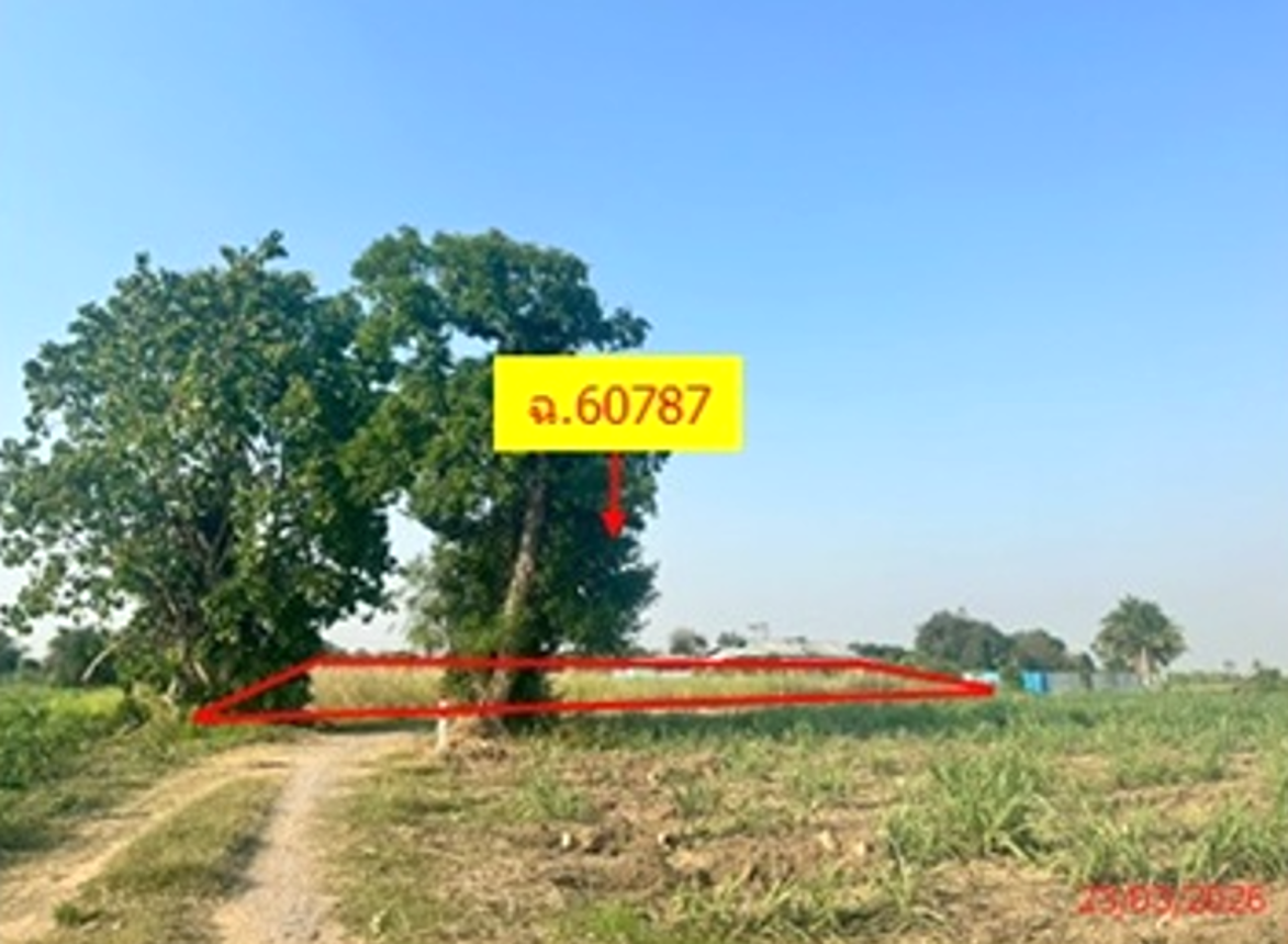 Vacant Land for Sale in Nakhon Sawan, Nakhon Sawan Province
