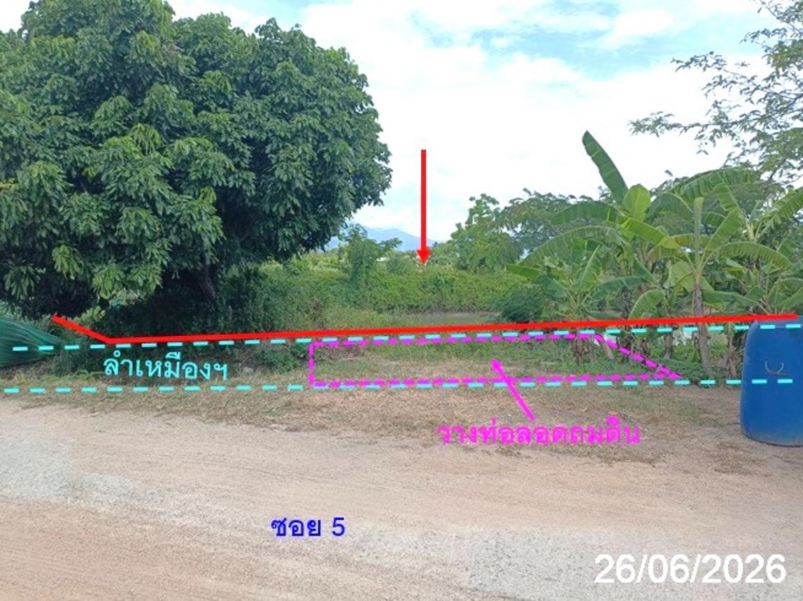 Vacant Land in Fang, Chiang Mai