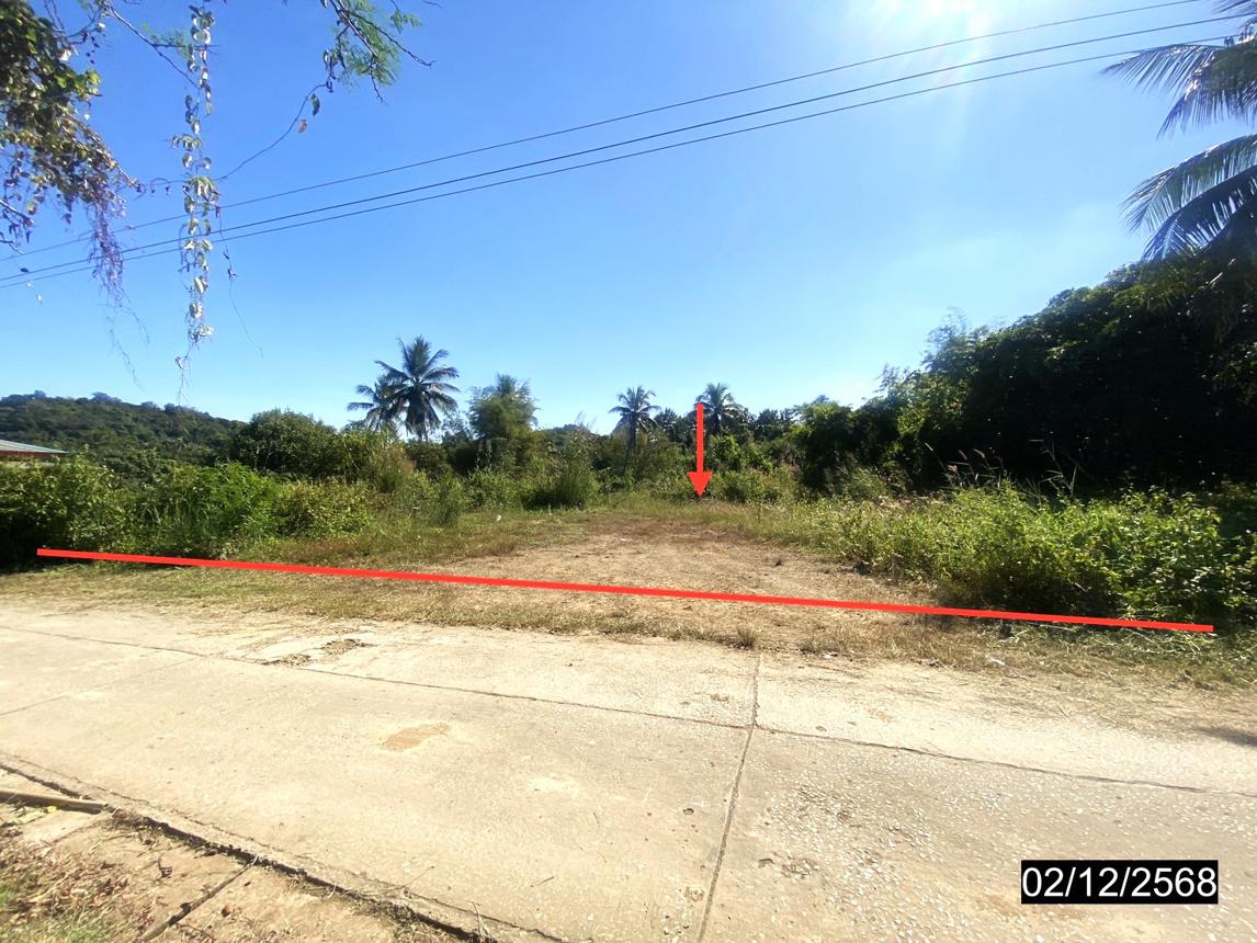 Empty land in Pak Chum, Loei Province