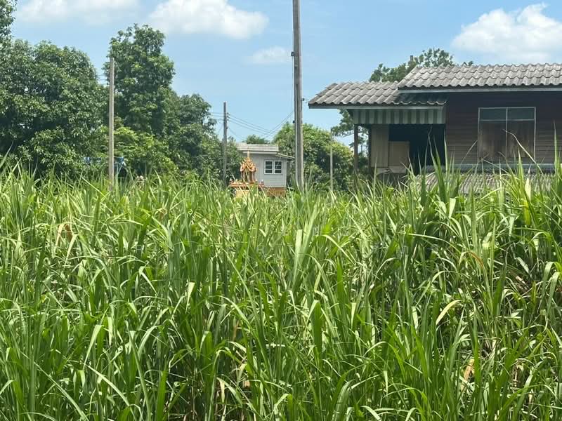 ที่ดินบางใหญ่ นนทบุรี, Nonthaburi