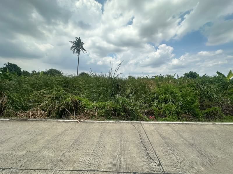 ที่ดินบางใหญ่ นนทบุรี, Nonthaburi