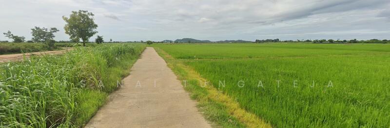 ที่ดินบางม่วง อ.เมือง จ.นครสวรรค์, Nakhon Sawan