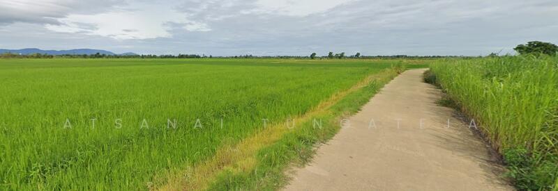 ที่ดินบางม่วง อ.เมือง จ.นครสวรรค์, Nakhon Sawan