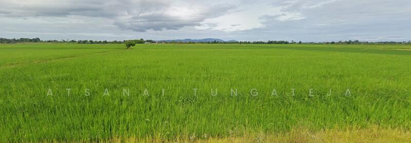 ที่ดินบางม่วง อ.เมือง จ.นครสวรรค์, Nakhon Sawan