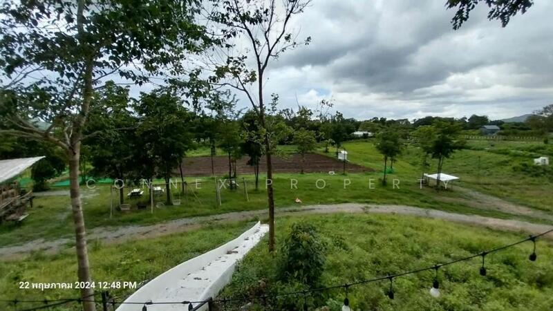 ที่ดินหมูสี @เขาใหญ่, Nakhon Ratchasima