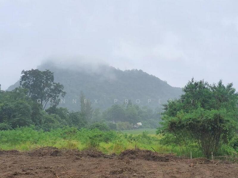 ที่ดินหมูสี @เขาใหญ่, Nakhon Ratchasima