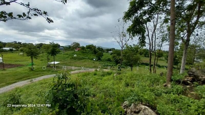 ที่ดินหมูสี @เขาใหญ่, Nakhon Ratchasima