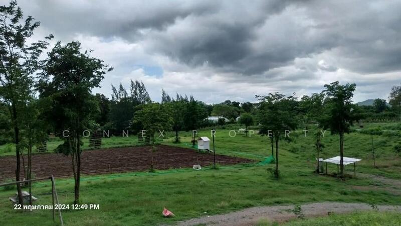 ที่ดินหมูสี @เขาใหญ่, Nakhon Ratchasima