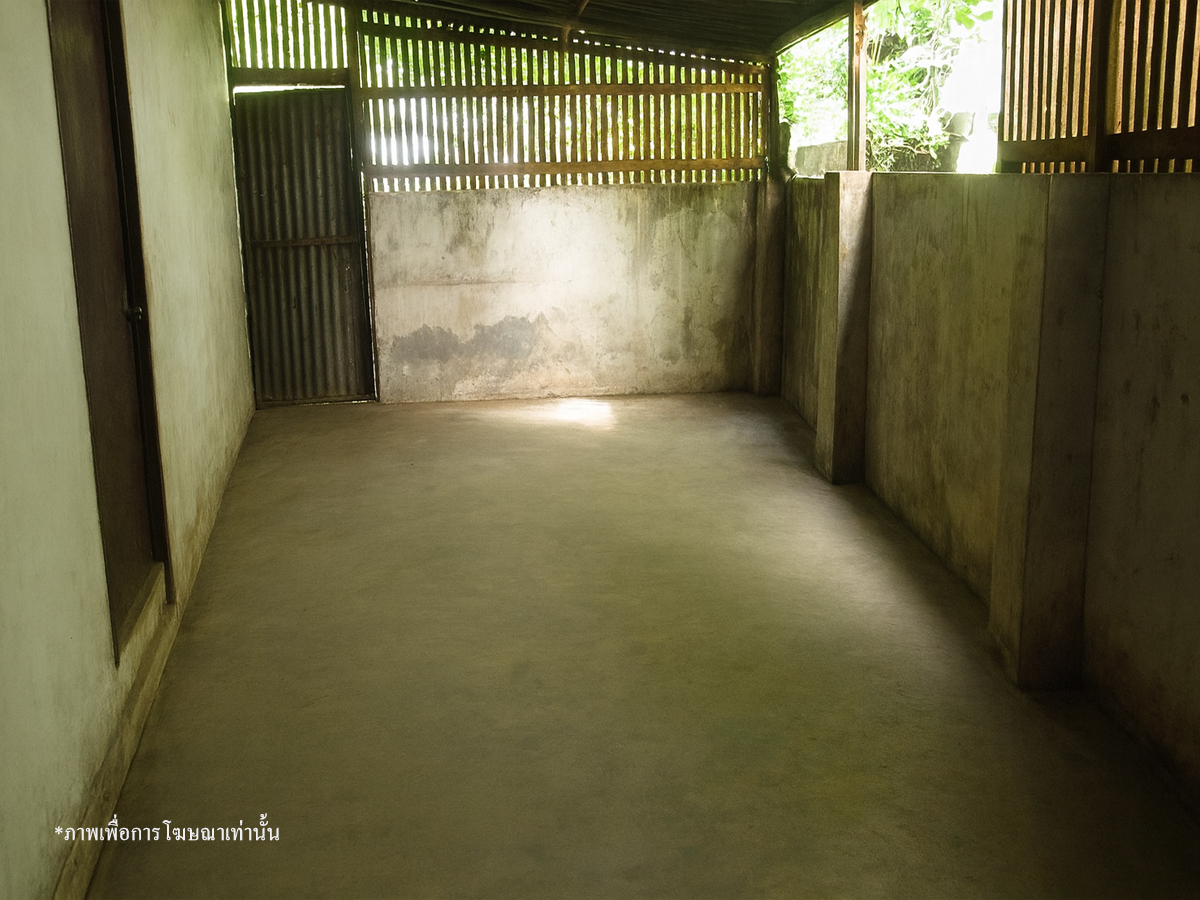 บ้านเดี่ยว แพร่