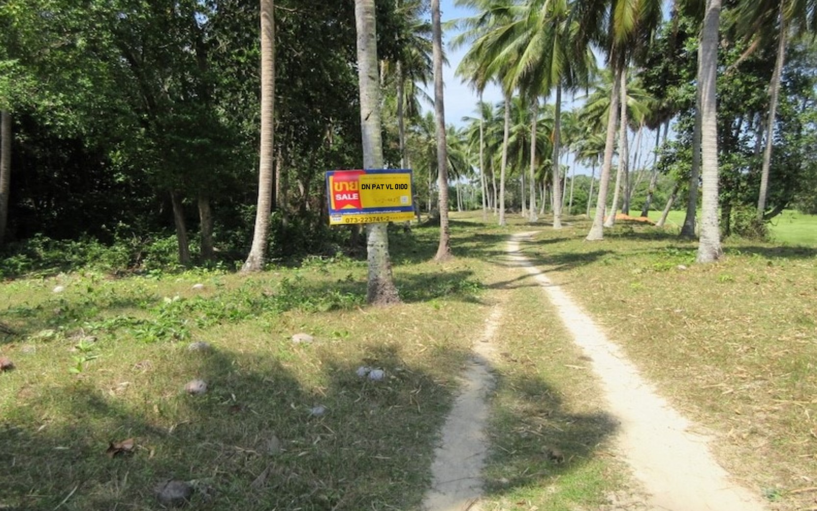 ที่ดินเปล่า จังหวัดปัตตานี