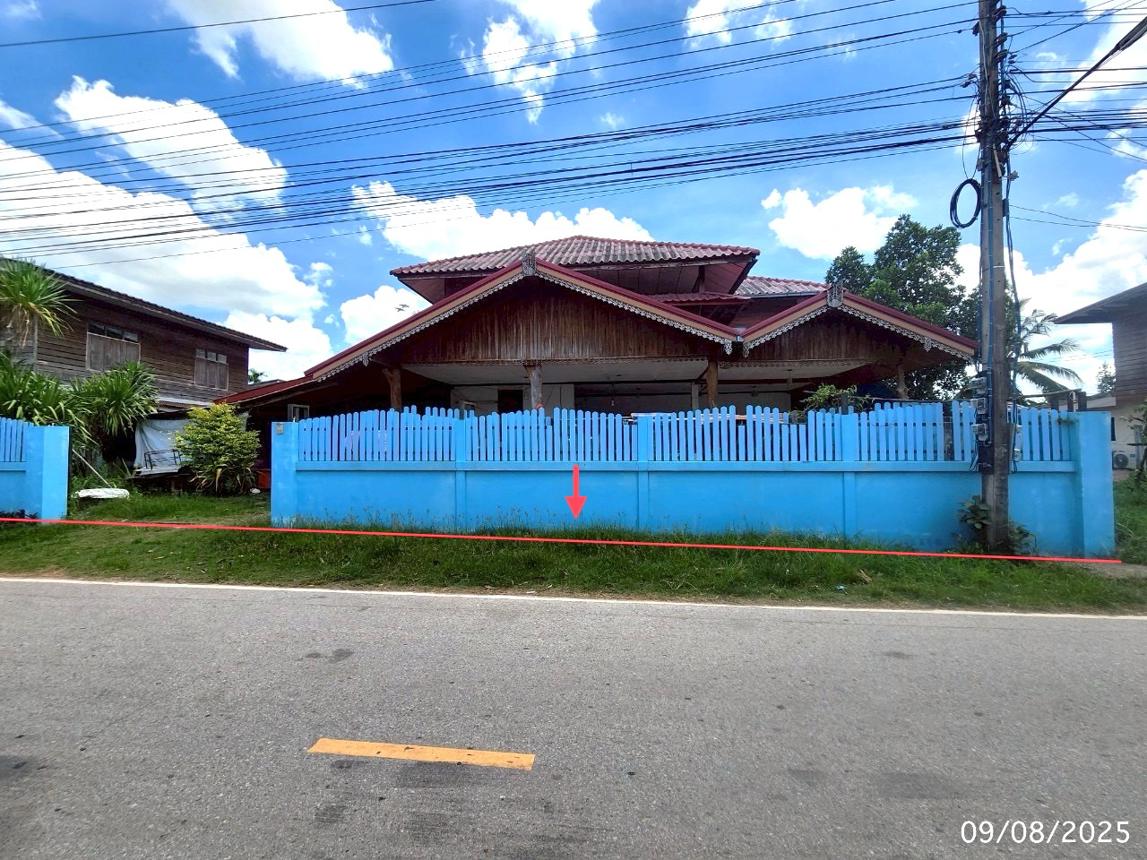 Single House in Yang Talat, Kalasin