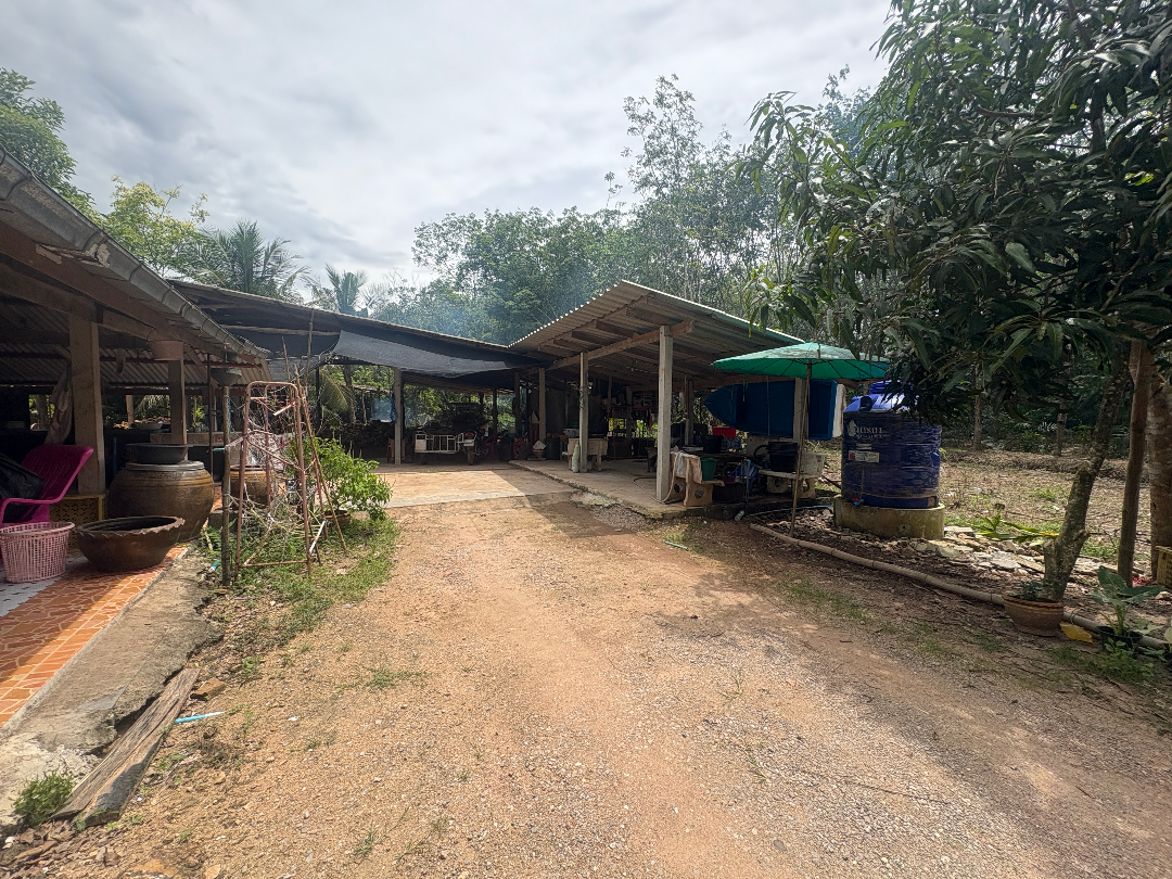 บ้านเดี่ยวชั้นเดียว นาสัก ชุมพร