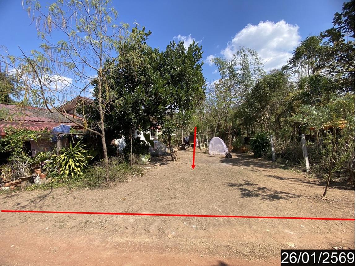 ที่ดินว่างเปล่า เชียงคาน เลย