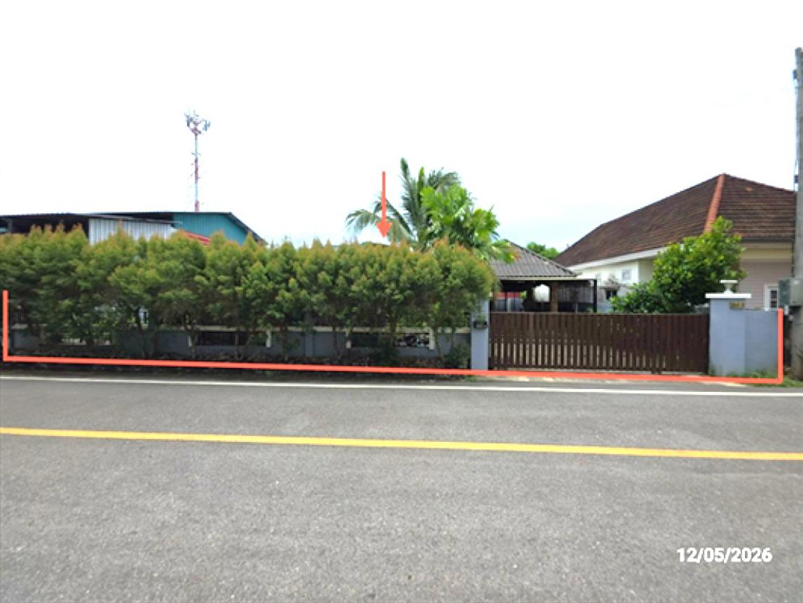 บ้านเดี่ยว ที่ตั้งเมืองสุราษฎร์ธานี จังหวัดสุราษฎร์ธานี