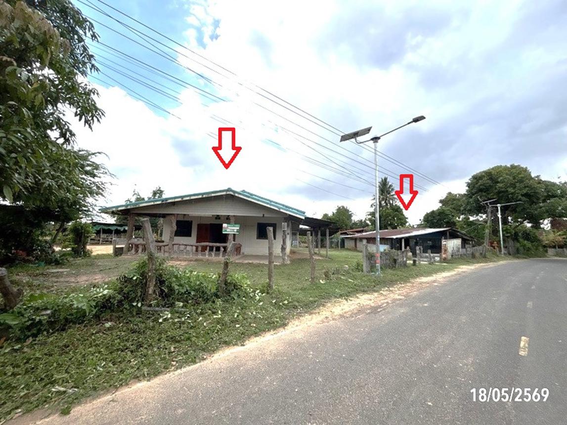 Single House in Non Narai, Surin Province