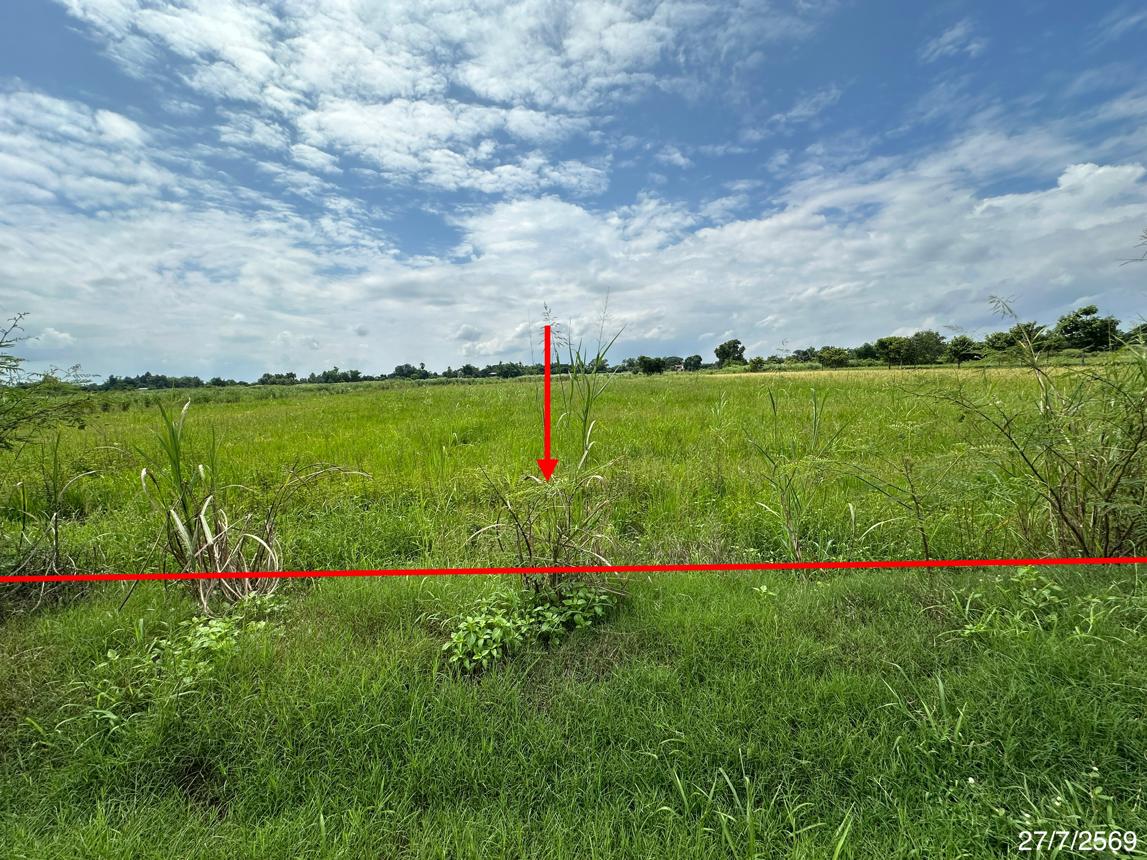 Vacant Land, Wang Thong, Phitsanulok