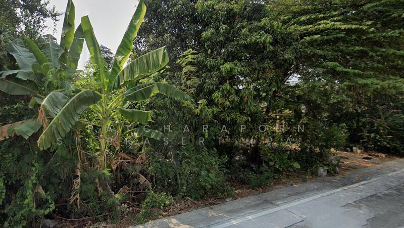 ขายด่วน! ที่ดินสวนผลไม้ ราคาถูกมาก ซอยไทรม้า เมืองนนทบุรี, Nonthaburi