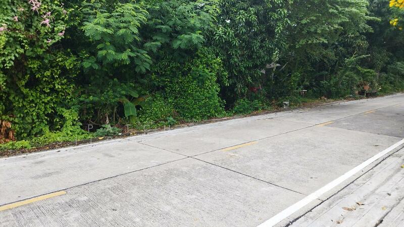 ขายด่วน! ที่ดินสวนผลไม้ ราคาถูกมาก ซอยไทรม้า เมืองนนทบุรี, Nonthaburi